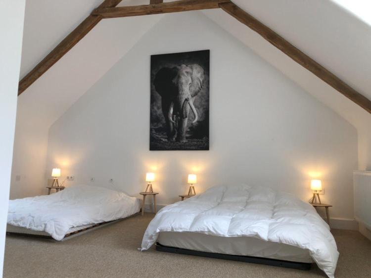 Merveilleux Cottage Dans Parc De 7,5 Hectares Saint-Nicolas-du-Pélem Exteriör bild