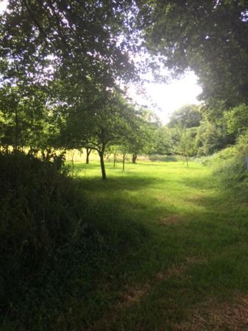 Merveilleux Cottage Dans Parc De 7,5 Hectares Saint-Nicolas-du-Pélem Exteriör bild
