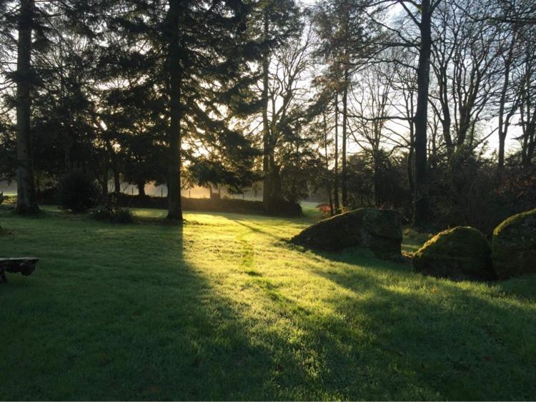 Merveilleux Cottage Dans Parc De 7,5 Hectares Saint-Nicolas-du-Pélem Exteriör bild